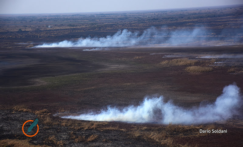 Continúan los incendios en el Delta del Paraná