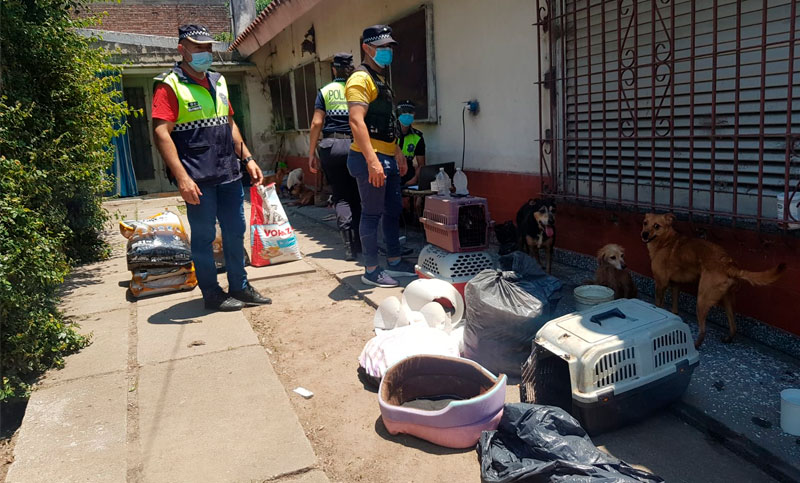 Tucumán: rescatan 19 perros en estado de abandono y hallan otros cuatro muertos