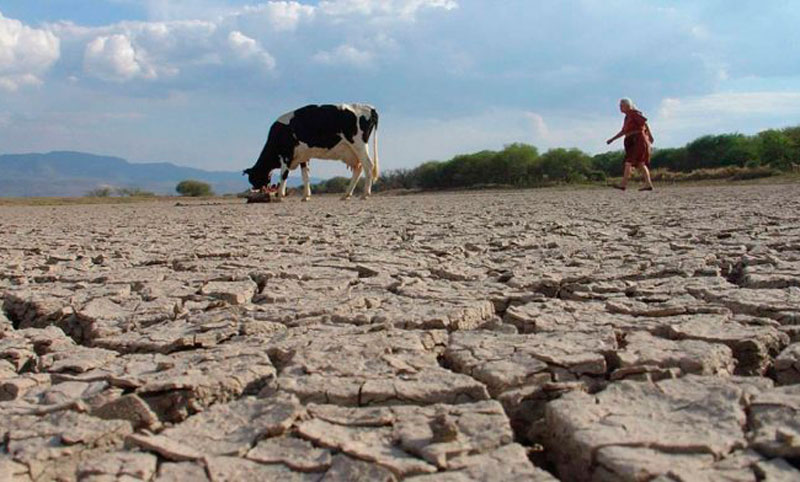 ¿Cómo afecta el cambio climático en Argentina?