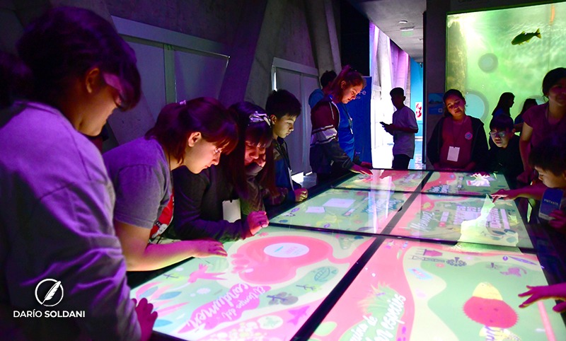 Santa Fe celebró el Encuentro Anual de la Red Provincial de Clubes de Ciencia y Tecnología