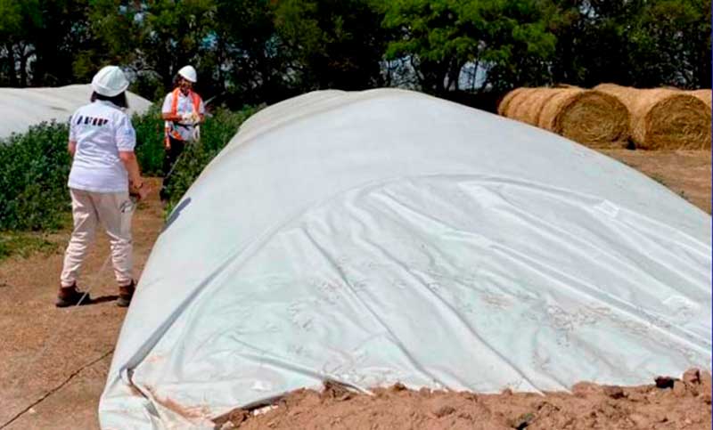 Córdoba: detectaron miles de toneladas de granos sin declarar en establecimientos agropecuarios