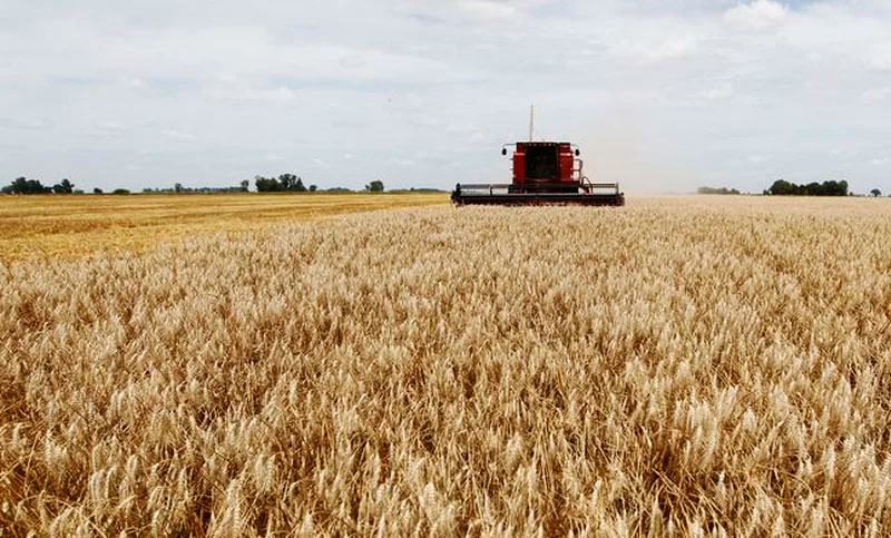 Argentina e Israel tienen la llave para alimentar al mundo