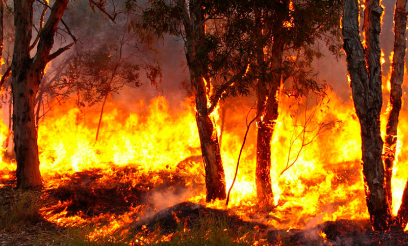 Siete provincias registran incendios activos en el país