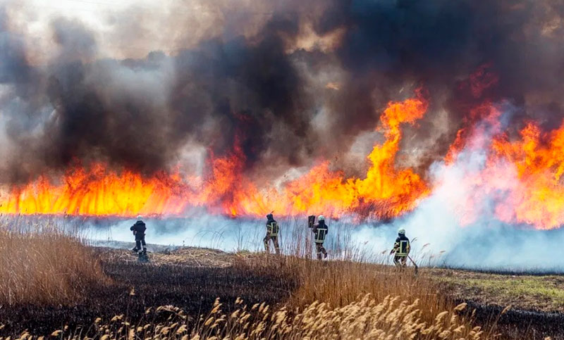 Jujuy, Catamarca, Córdoba, La Rioja, Entre Ríos y Corrientes registran incendios activos