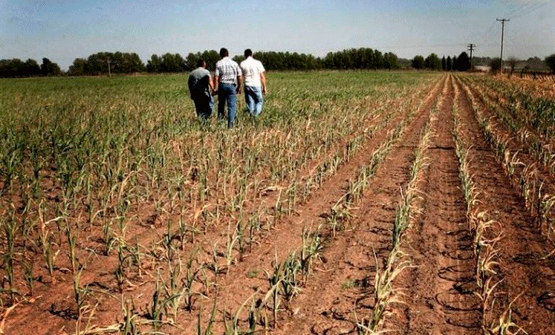 El Gobierno de Santa Fe analiza prorrogar la emergencia agropecuaria