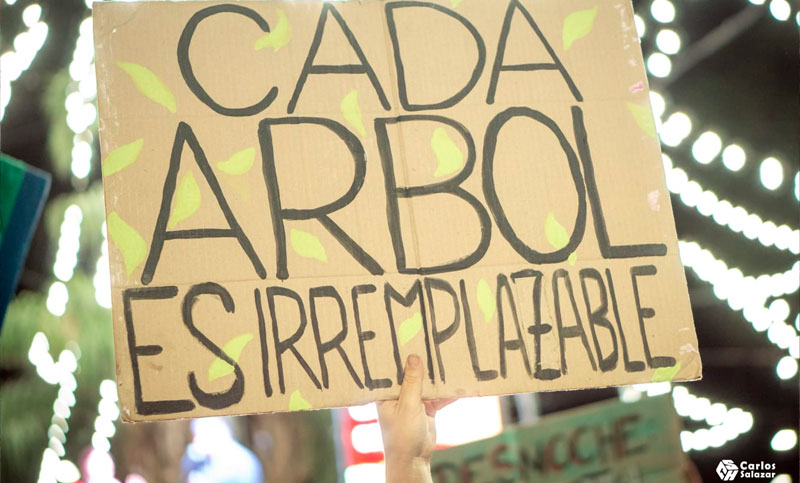 Ambientalistas protestaron durante el encendido del árbol navideño y exigieron a Javkin que cuide los árboles