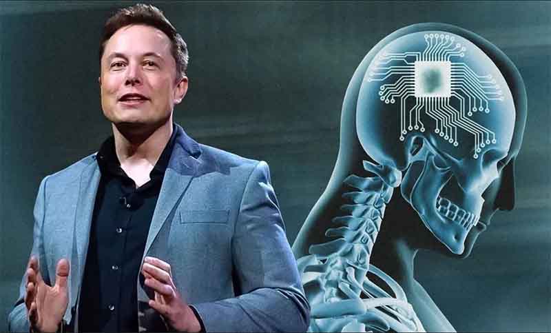 Elon Musk espera que el chip cerebral de Neuralink comience pruebas en humanos dentro de 6 meses