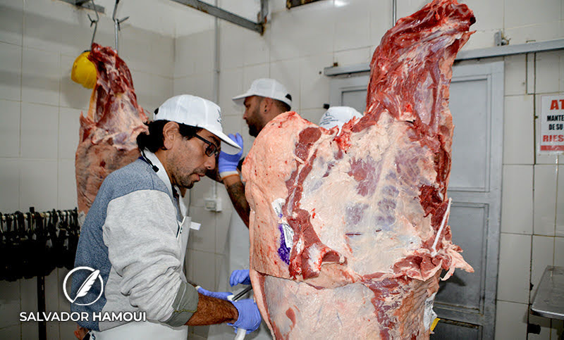 Precio de la carne, imparable: la media res aumentó más de 35% en el transcurso de enero