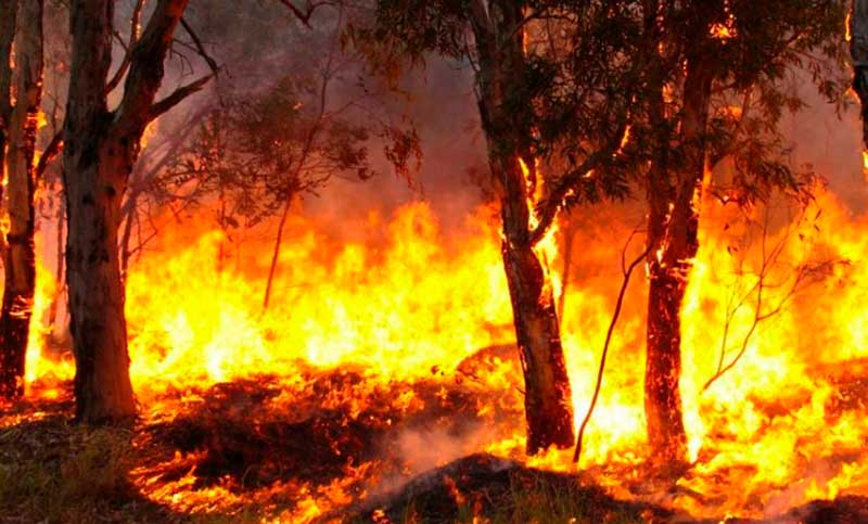 Seis provincias registran incendios activos en el país