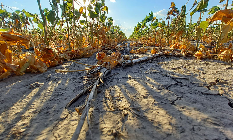 Santa Fe lanza nueva línea de financiamiento para productores afectados por la sequía
