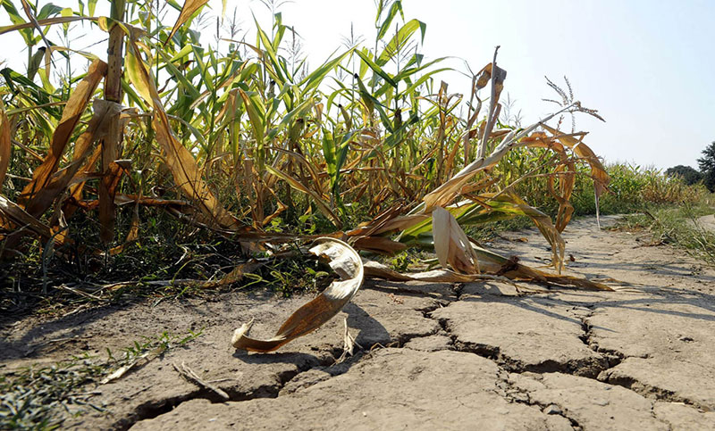 Golpeada por sequía y heladas, la campaña agrícola podría ser la peor de los últimos años