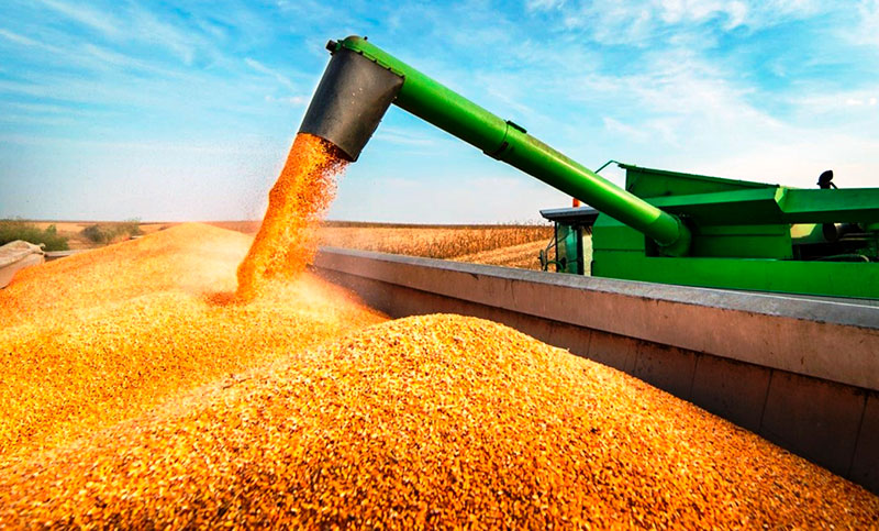 Los agroexportadores lograron liquidaciones de divisas récord en 2022