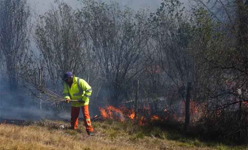Más de 100 hectáreas de la reserva forestal de Andino afectadas por un voraz incendio
