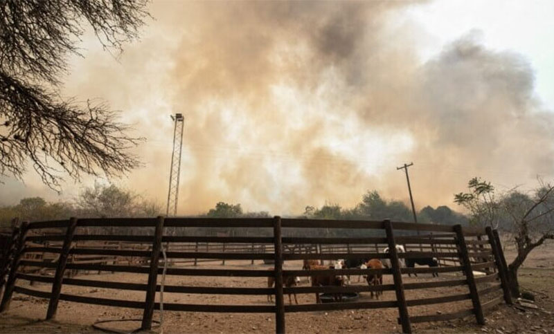 Córdoba declaró «desastre agropecuario» por incendios en 11 departamentos productivos