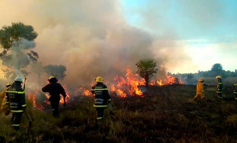 Corrientes, Entre Ríos y Neuquén registran incendios forestales