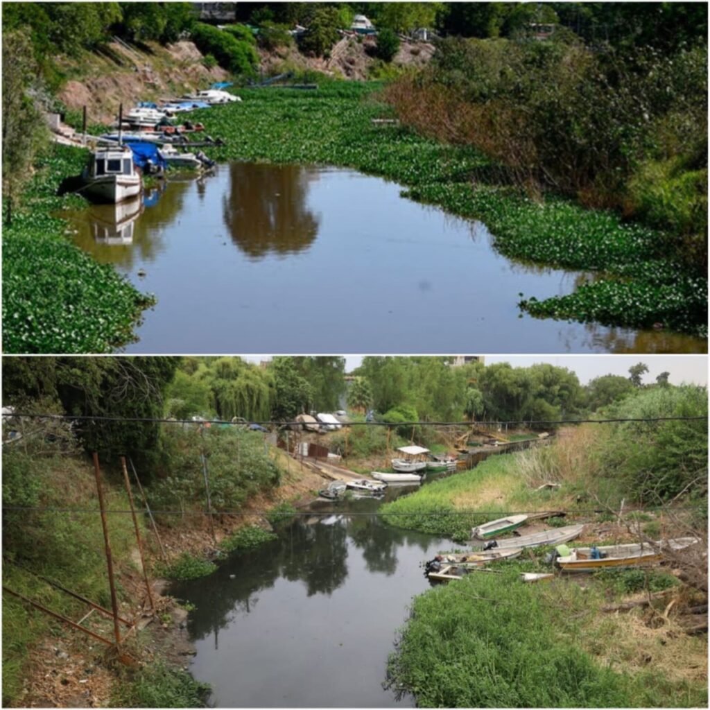 Arriba: la tapia de camalotes tapando el cauce del arroyo LudueñaAbajo: salida a la desembocadura del río Paraná luego de la intervención de los pescadores