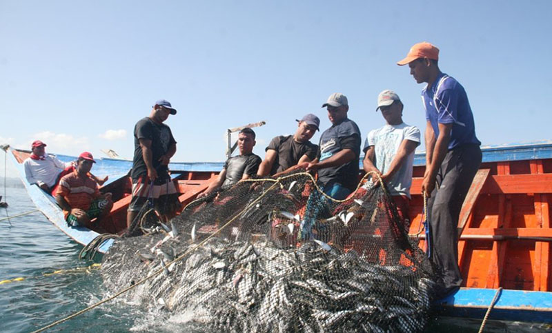 Exportaciones pesqueras cayeron 8,4% en el 2022
