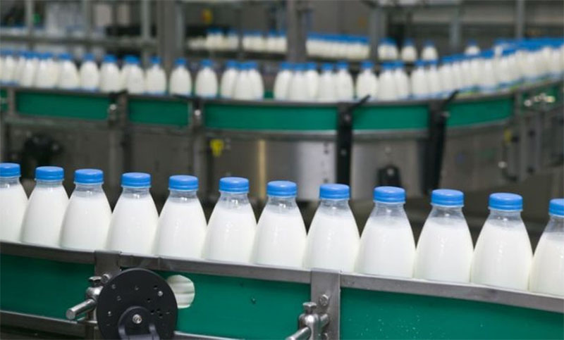 Massa anunciará una serie de incentivos a la producción del sector lechero