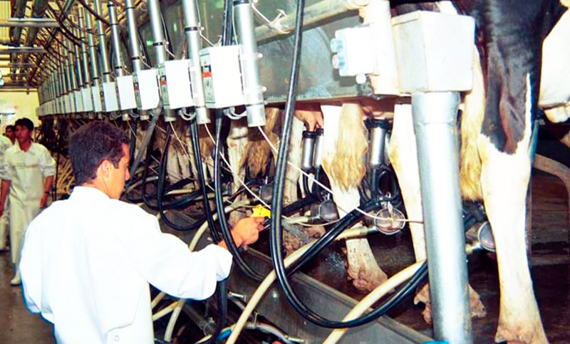 Destinan más de $9.000 millones a productores tamberos para aumentar la oferta de leche