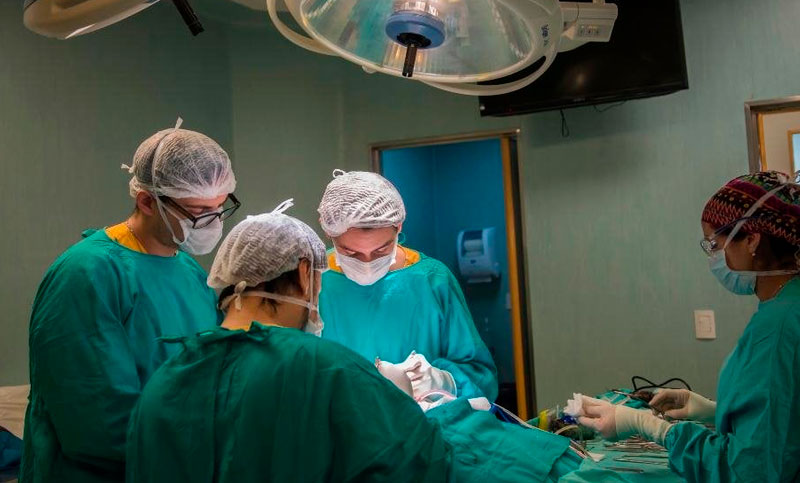 Santa Fe se convirtió en la segunda jurisdicción del país en cantidad de trasplantes posibilitados