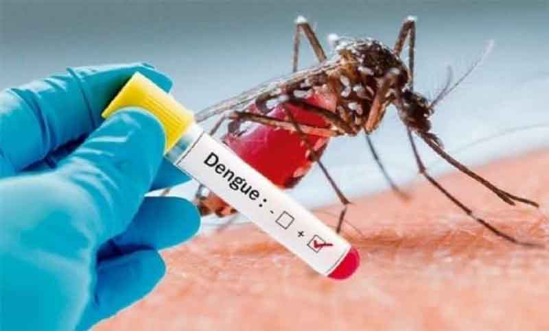 Ante el aumento de casos de dengue, piden reforzar los cuidados