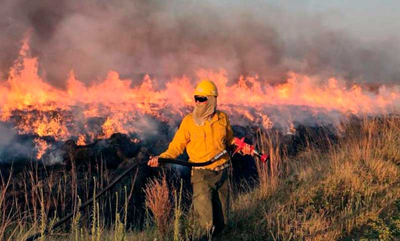 Corrientes, Entre Ríos y Buenos Aires registran incendios forestales