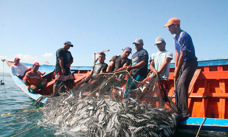 China levanta suspensiones a establecimientos pesqueros argentinos