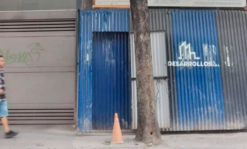 Organizaciones ecologistas denuncian tala de árboles para construir edificios