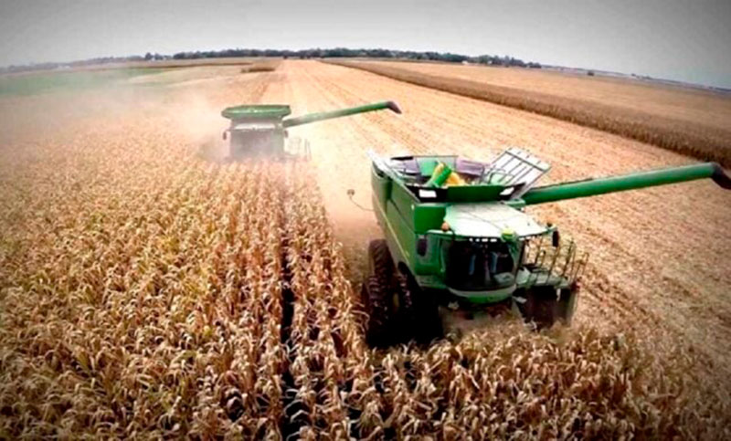 El Gobierno anunció un «dólar agro» que unificará cotizaciones