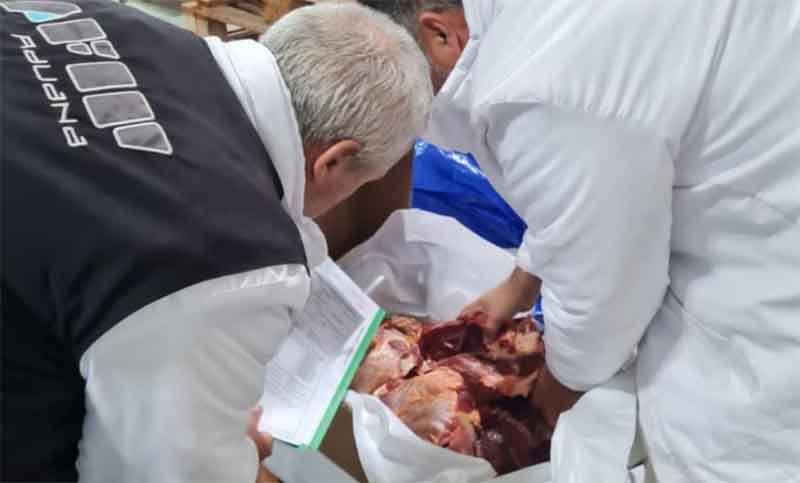 Aduana denunció a frigoríficos por subfacturación y exportación de cortes prohibidos