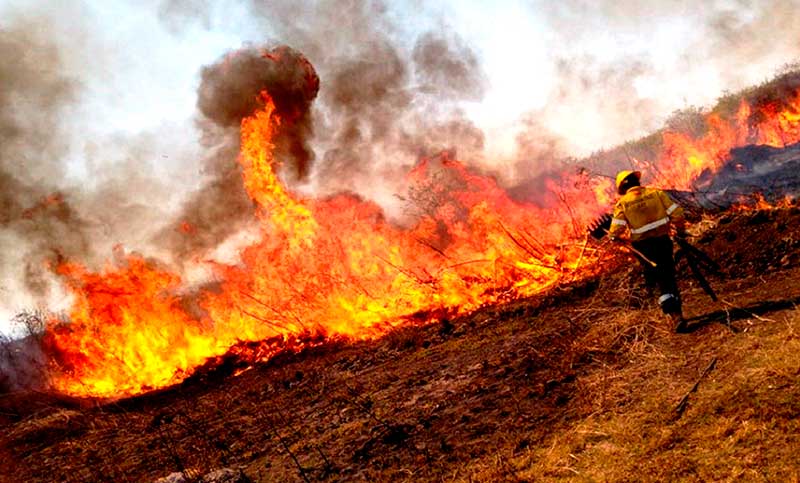Entre Ríos, Buenos Aires y La Pampa registran incendios activos