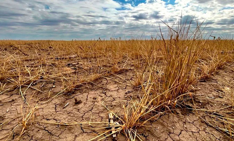 Producto de la sequía, Santa Fe extiende la emergencia agropecuaria hasta el 30 de septiembre