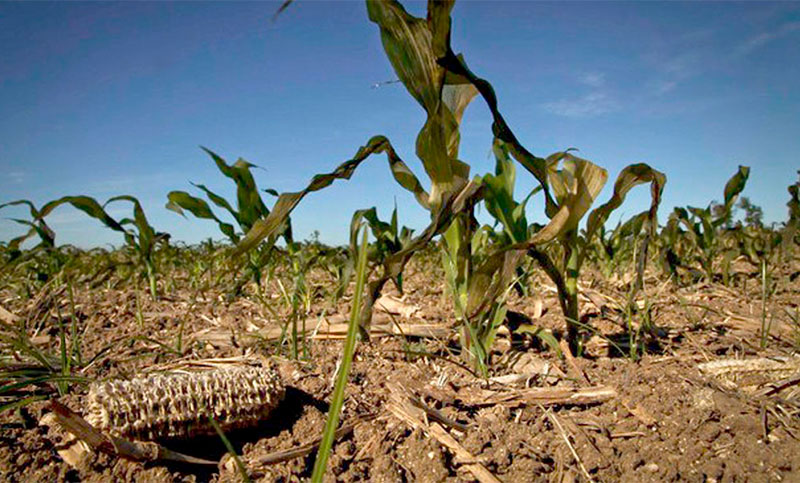 “La peor sequía de Argentina en los últimos 60 años ha llegado a su fin”