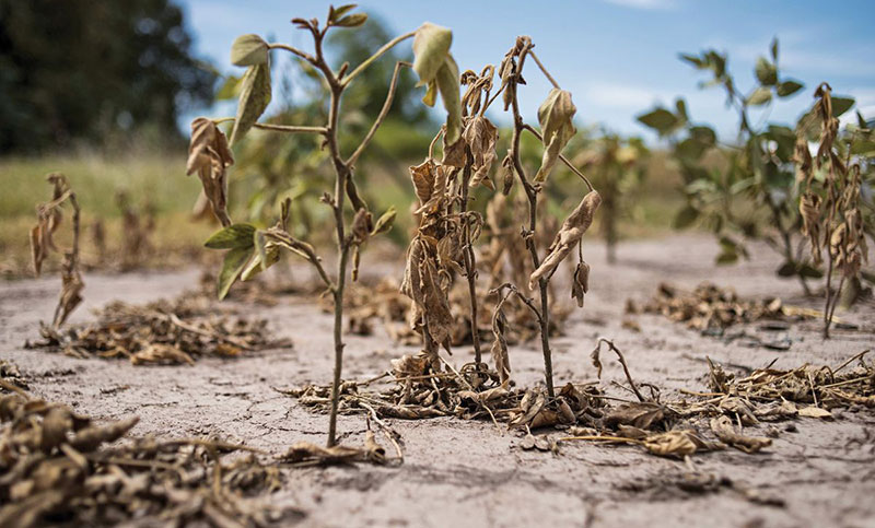 El Gobierno de Santa Fe analizó pasos a seguir junto a productores afectados por la sequía