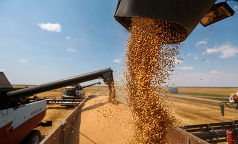 La participación del país en el comercio de aceite y harina de soja cae al nivel más bajo desde 1998