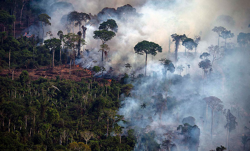 Crece la deforestación en la Amazonia brasileña en los primeros tres meses de 2023