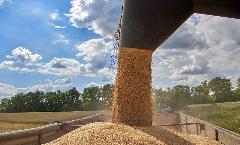 Peligra el acuerdo sobre granos ucranianos por «obstáculos» a sus exportaciones