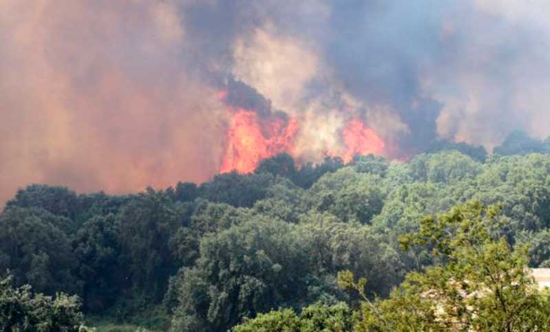 Unas 300 personas fueron evacuadas por incendios forestales en Francia