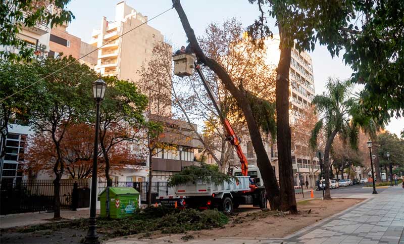 Este fin de semana se removerán árboles con riesgo de caída: habrá cortes de tránsito en el centro rosarino