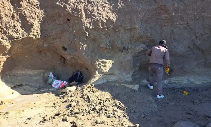 Encuentran restos fósiles de un Megaterio de la Era de Hielo en Mar Chiquita