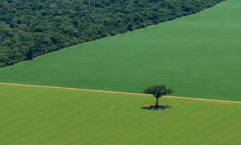 Datos imprescindibles sobre el “Pasivo Ambiental” del modelo productivo