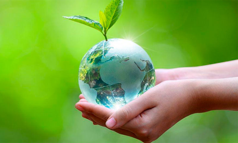 Día Mundial de la Madre Tierra: involucrarse y actuar