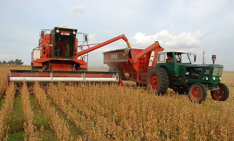Santa Fe: la cosecha de soja acentúa sus bajos rendimientos por la sequía