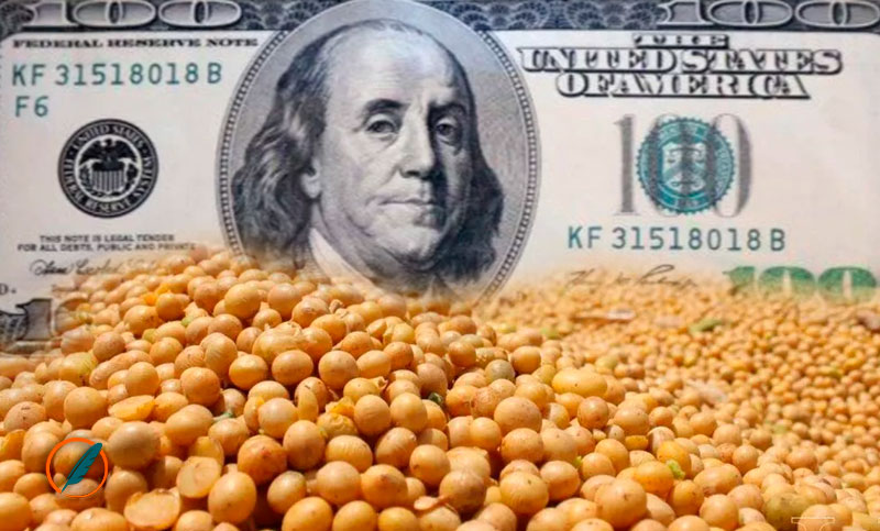 Cierra la tercera edición del dólar soja: hasta el momento se negociaron menos toneladas que las previstas