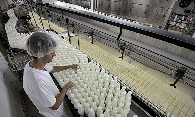 ¿Qué empresas procesan más de 100 mil litros de leche promedio por día?