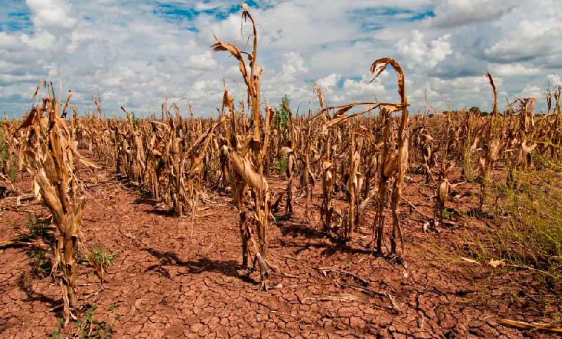 Desastre en todo el mundo: la sequía hace estragos en diversos países de América y Europa
