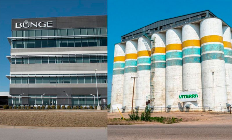 Bunge compró a Viterra: la fusión sería la principal exportadora de granos en Argentina