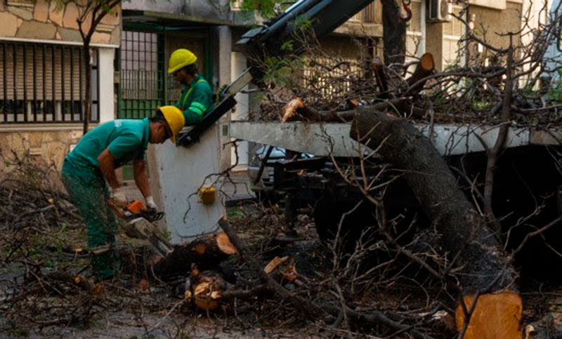 Pasó el fuerte viento del viernes y extraerán 35 árboles con riesgo de caída durante el fin de semana