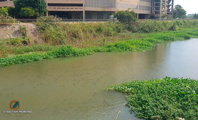 Proponen la creación de una Autoridad de Cuenca Arroyo Ludueña, ante la contaminación