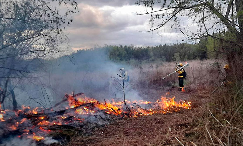 Evacúan ciudades en Grecia por precaución ante incendios forestales